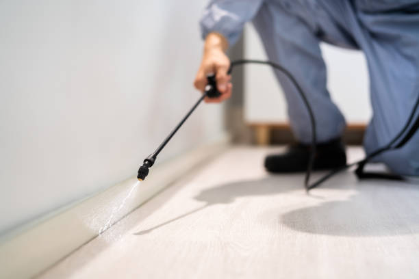 Licensed Mosquito Control service in Tysons, VA - Show Me Pest Control