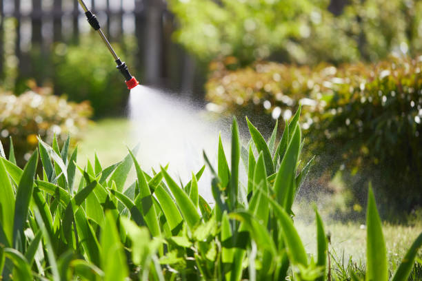 24/7 Emergency Mosquito Control experts in Tysons, VA