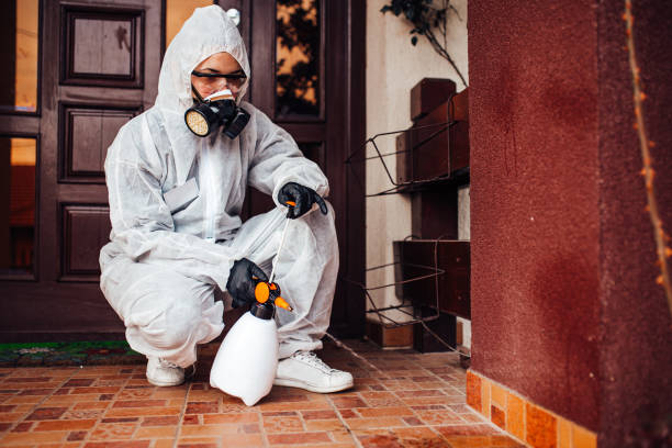 Reliable Mosquito Control contractor in Tysons, VA by Show Me Pest Control